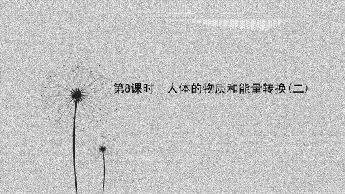 备战浙教版科学中考一轮第8课时人体的物质和能量转换(二)知识梳理(课件21张)