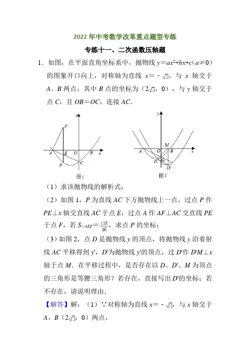 专练十一《二次函数压轴题》(解析版)