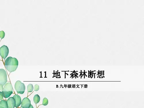《地下森林断想》原创课件 2021年公开课获奖课件
