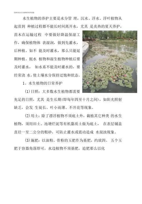 园林绿化水生植物的养护措施