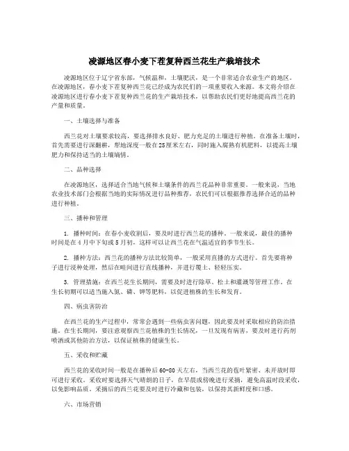 凌源地区春小麦下茬复种西兰花生产栽培技术