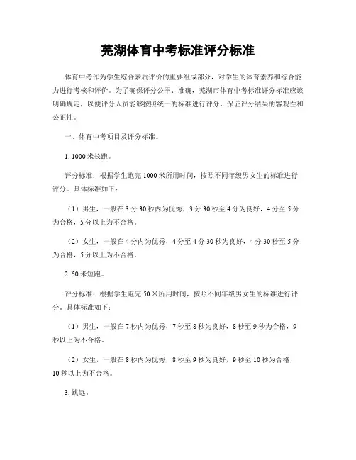 芜湖体育中考标准评分标准