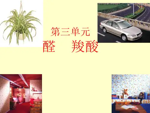乙醛1