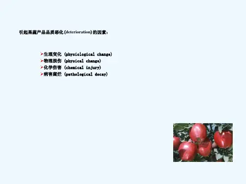 果蔬产品采后采后生理失调
