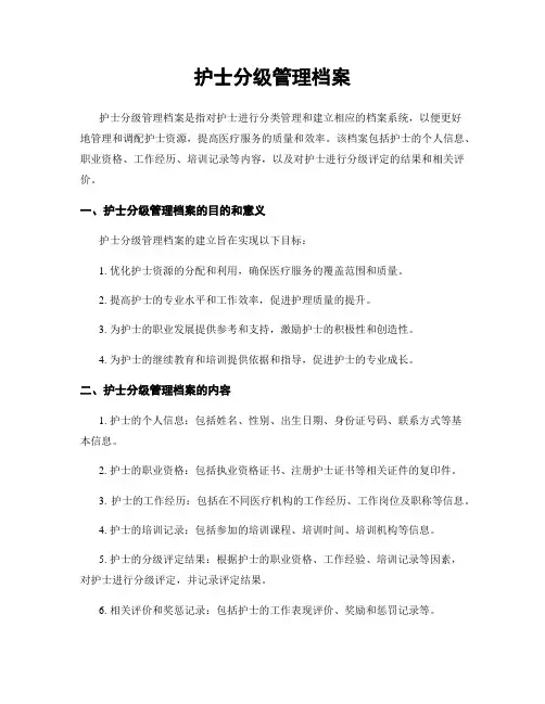 护士分级管理档案