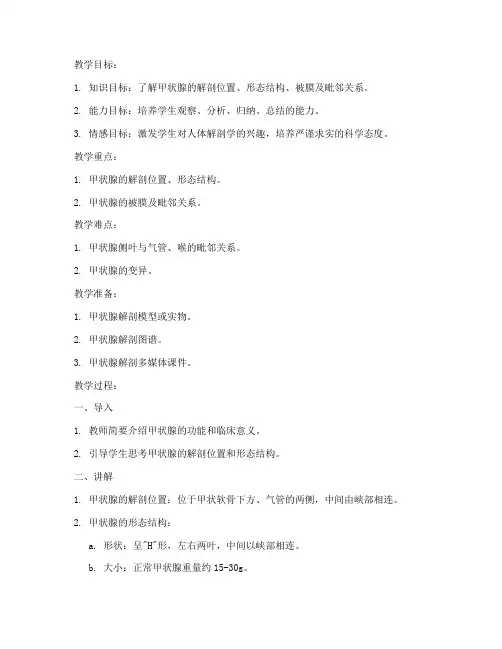 甲状腺解剖教案模板范文