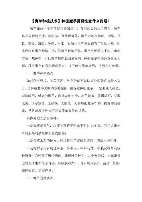【魔芋种植技术】种植魔芋需要注意什么问题？