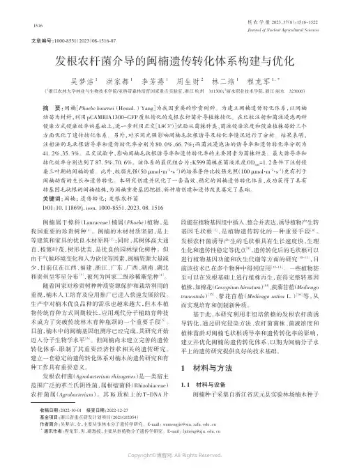发根农杆菌介导的闽楠遗传转化体系构建与优化