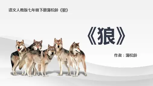 初中语文部编版七年级《狼》PPT