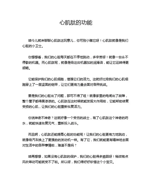 心肌肽的功能