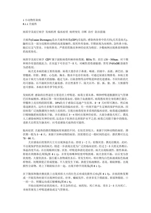 小动物疾病
