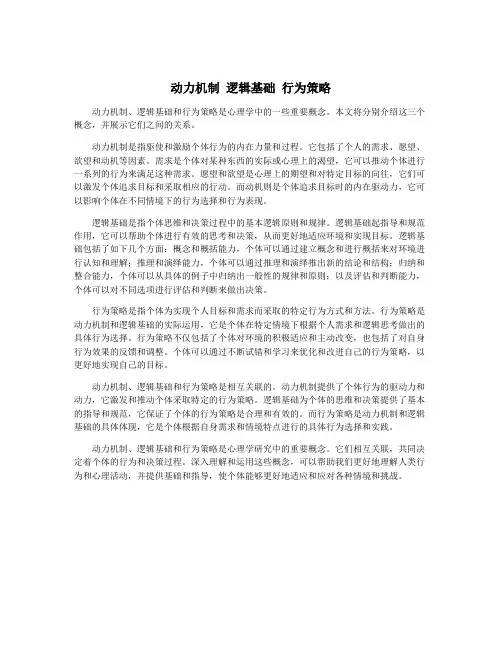 动力机制 逻辑基础 行为策略