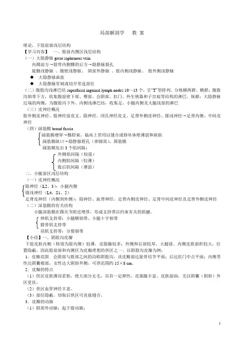 局部解剖学重点归纳