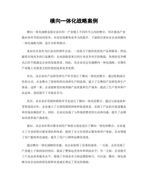 横向一体化战略案例