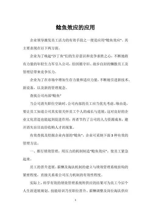鲶鱼效应的应用