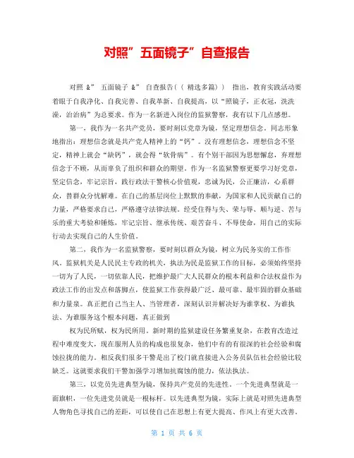 对照”五面镜子”自查报告()