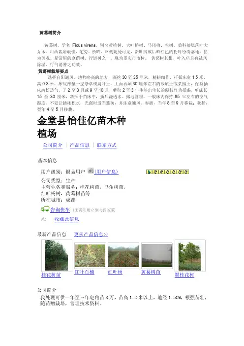 黄葛树简介、中华红叶杨种植技术