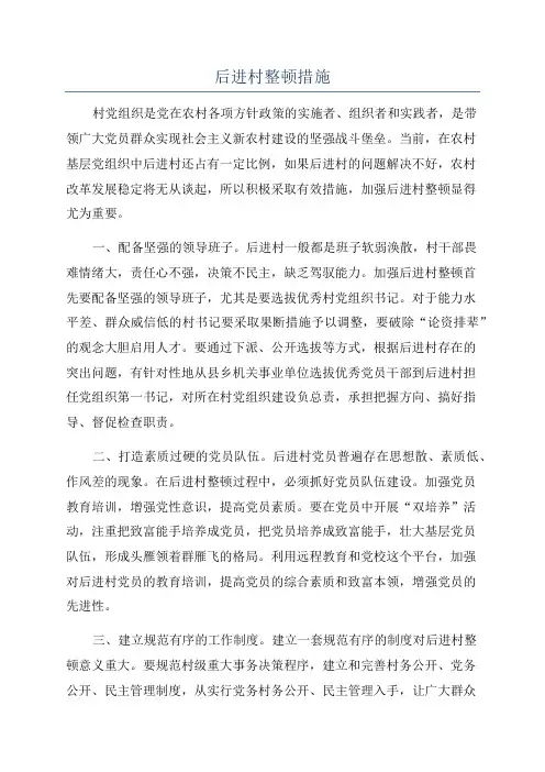 后进村整顿措施