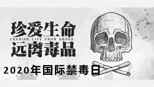 国际禁毒日黑板报资料PPT