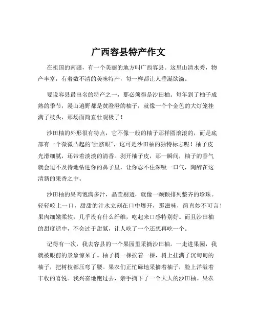 广西容县特产作文