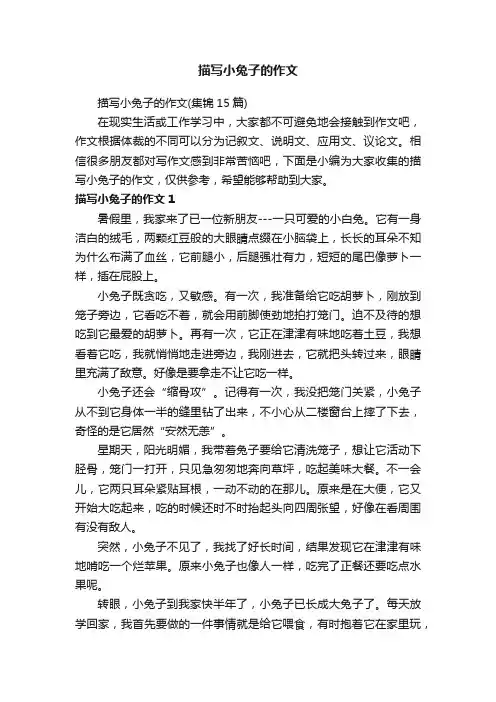 描写小兔子的作文（集锦15篇）