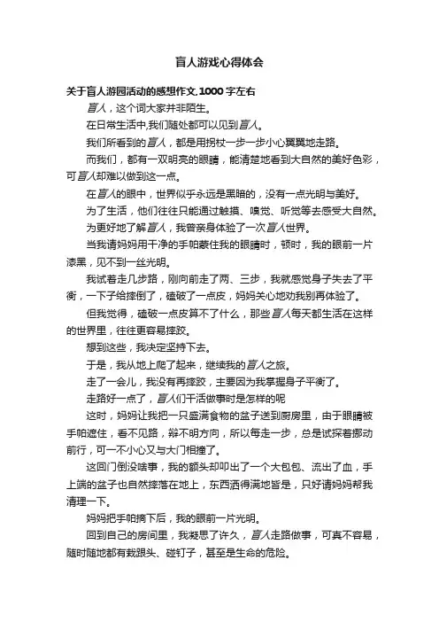 盲人游戏心得体会