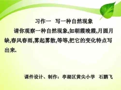 新苏教版五年级语文下册苏版五年级下册习作一