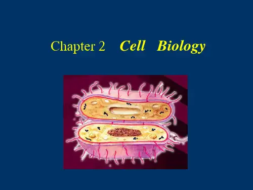 华中农业大学微生物学