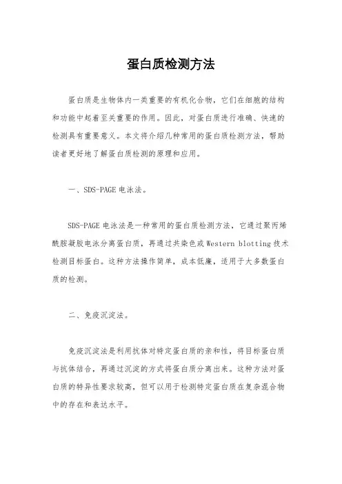 蛋白质检测方法