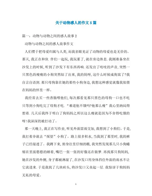 关于动物感人的作文5篇