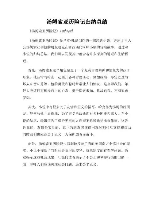 汤姆索亚历险记归纳总结