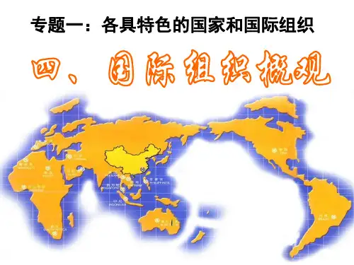 国际组织概况 PPT