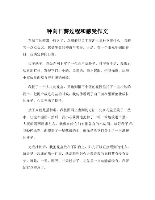 种向日葵过程和感受作文