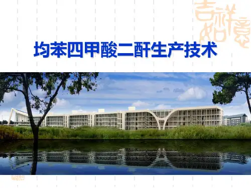 均酐生产技术精选全文完整版