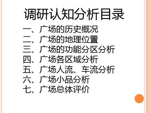 广场调研报告