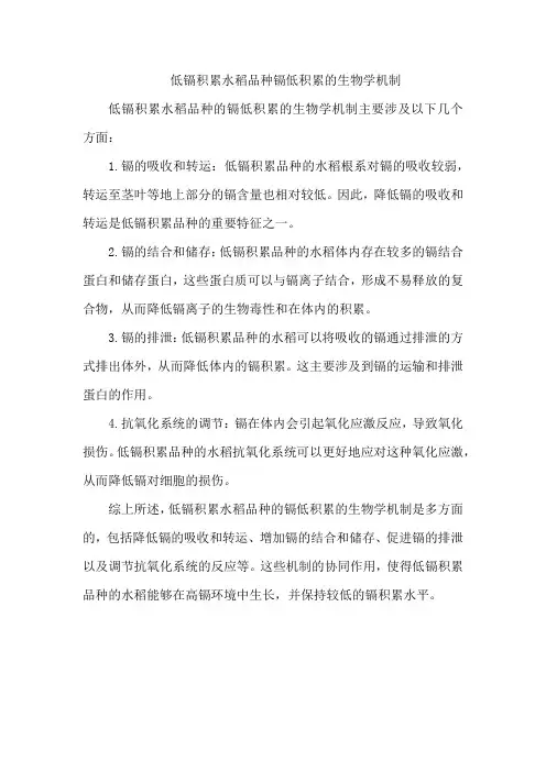 低镉积累水稻品种镉低积累的生物学机制