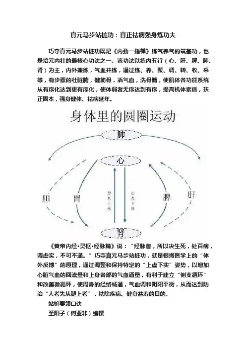 真元马步站桩功：真正祛病强身炼功夫