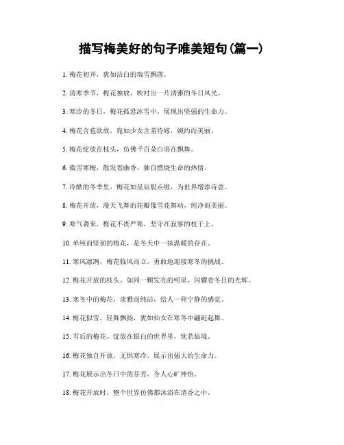 描写梅美好的句子唯美短句(精选2篇)