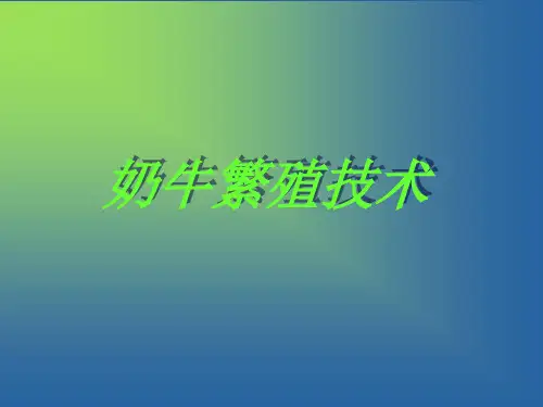 奶牛繁殖技术