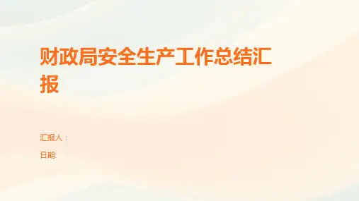 财政局安全生产工作总结汇报