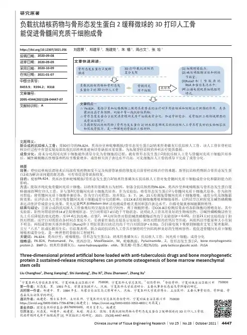 负载抗结核药物与骨形态发生蛋白2缓释微球的3D打印人工骨能促进骨髓间充质干细胞成骨
