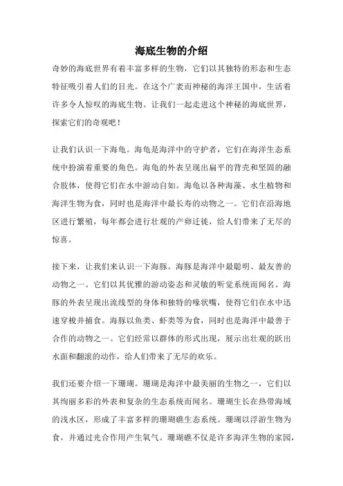 海底生物的介绍