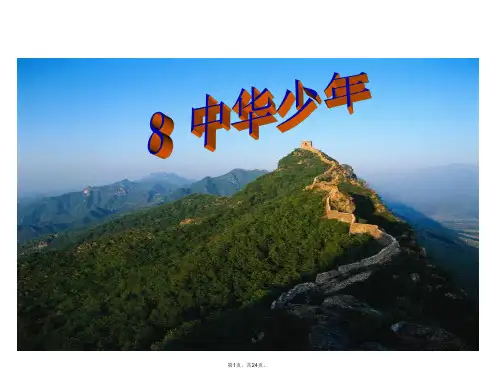 8-中华少年PPT课件-(1)