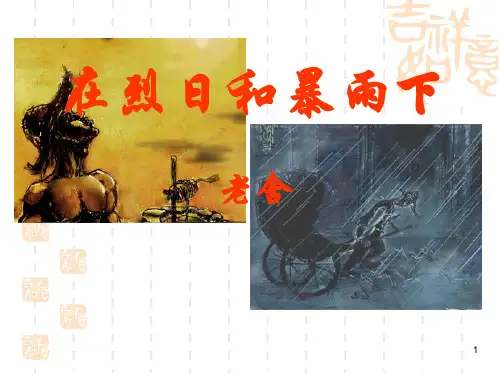 《在烈日和暴雨下》PPT演示课件