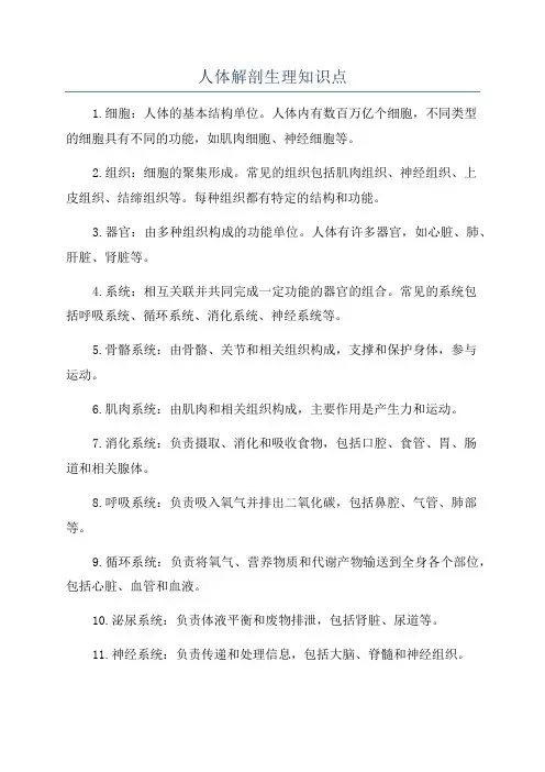 人体解剖生理知识点