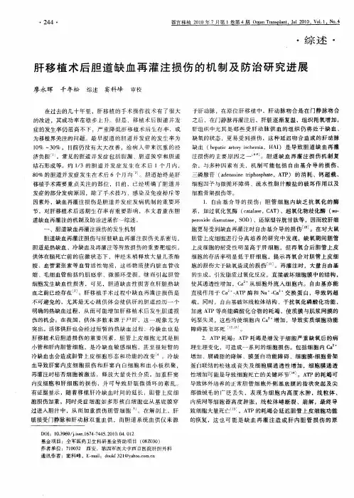 肝移植术后胆道缺血再灌注损伤的机制及防治研究进展