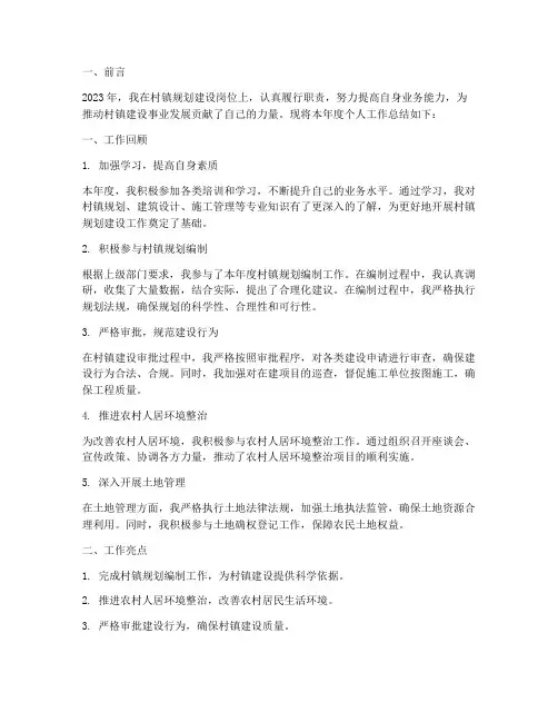 村规划建设个人工作总结