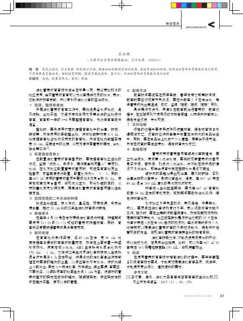 油松营养杯育苗技术