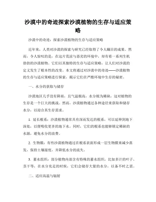 沙漠中的奇迹探索沙漠植物的生存与适应策略