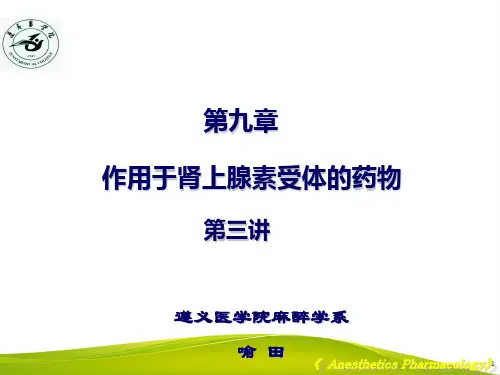 麻黄碱、多巴胺、去甲肾上腺素、间羟胺、去氧肾上腺素、甲氧明、可乐定